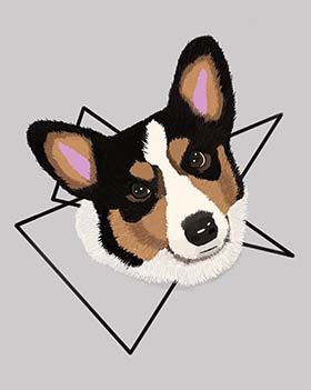 Digital drawing of a corgi